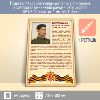 Плакат к стенду «Бессмертный полк» с описанием в золотой (матовой) алюминиевой рамке + ретушь фото (BP-02-A4, пластик 4 мм, А4, 1 лист)
